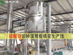 DHZY系列間接式回轉滾筒煅燒設備 硫酸鎂高溫煅燒生產(chǎn)線